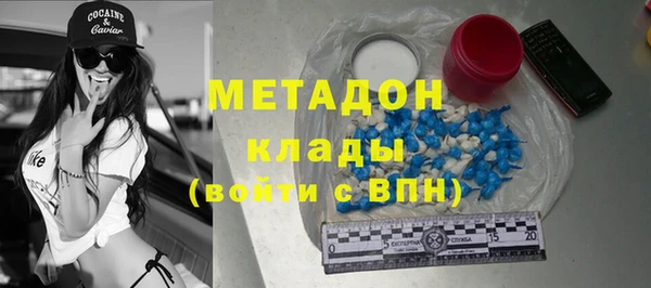 гидра Богородск