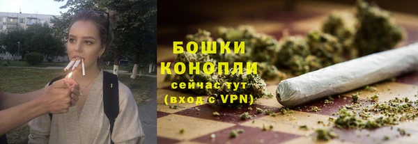 гидра Богородск