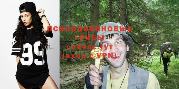 ALPHA PVP Богданович