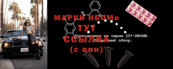 гидра Богородск