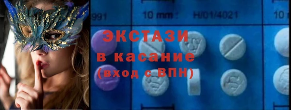 гидра Богородск