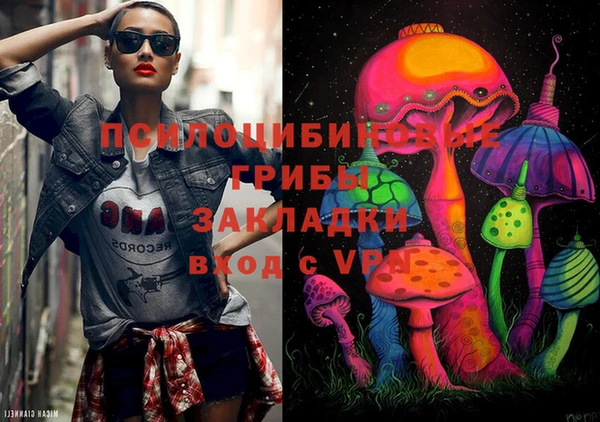 прущая мука Инсар