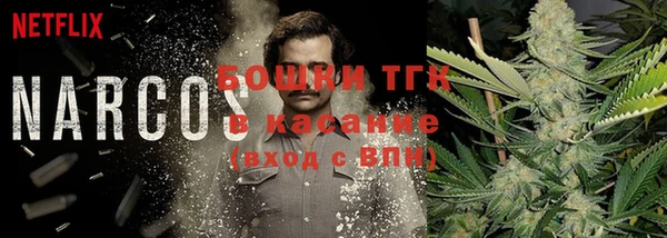гидра Богородск